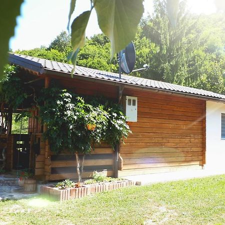 Studio Apartman Firdaus-Bihac, Dobrenica Bb Εξωτερικό φωτογραφία