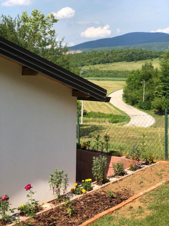 Studio Apartman Firdaus-Bihac, Dobrenica Bb Εξωτερικό φωτογραφία