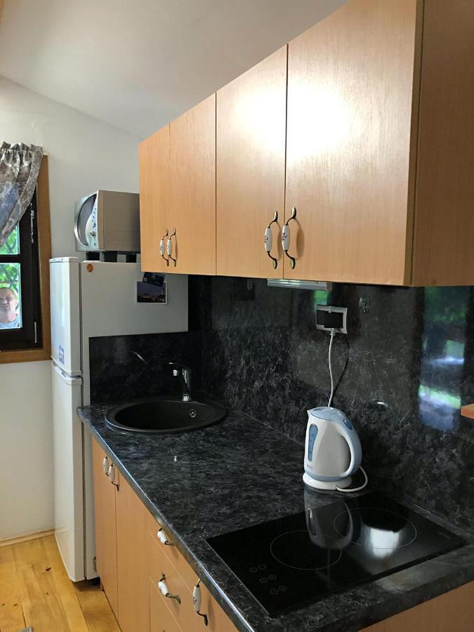Studio Apartman Firdaus-Bihac, Dobrenica Bb Εξωτερικό φωτογραφία