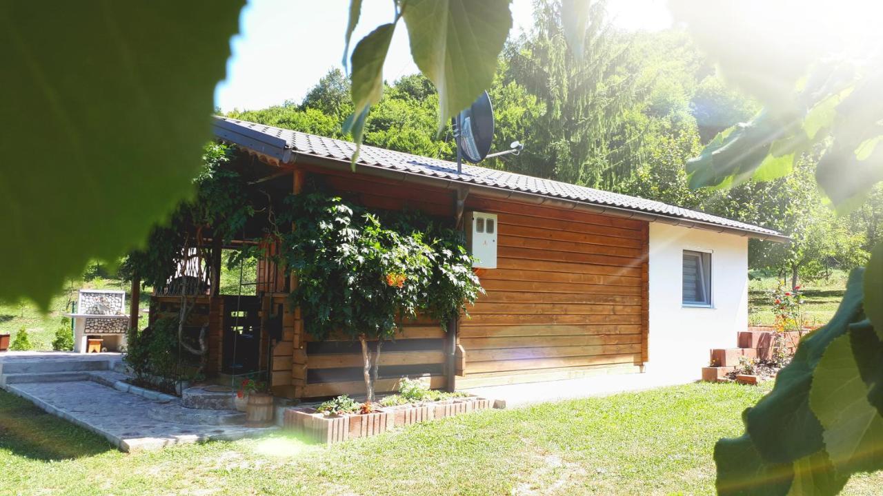 Studio Apartman Firdaus-Bihac, Dobrenica Bb Εξωτερικό φωτογραφία